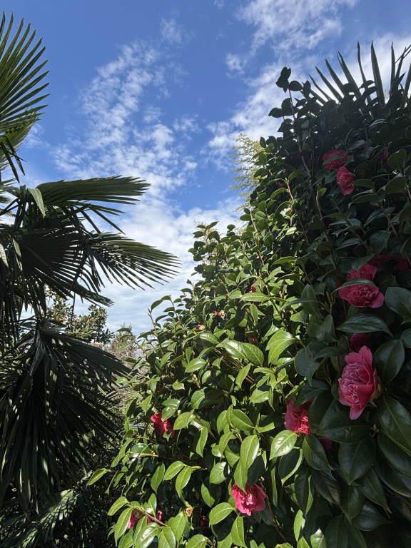 Carpe Diem Boutique Resort