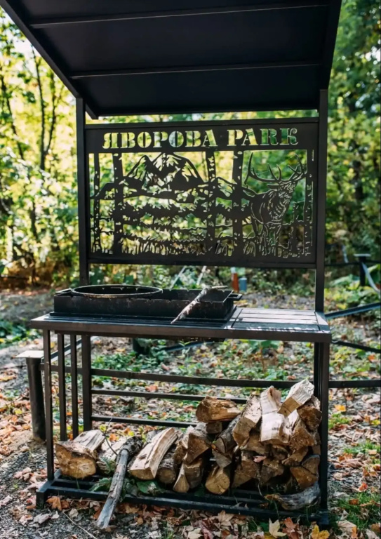 Отель Яворова Park