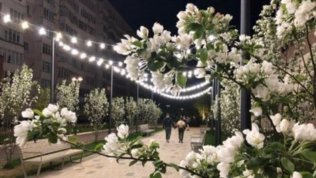 Квартира с шикарным видом на кремль и Чашу