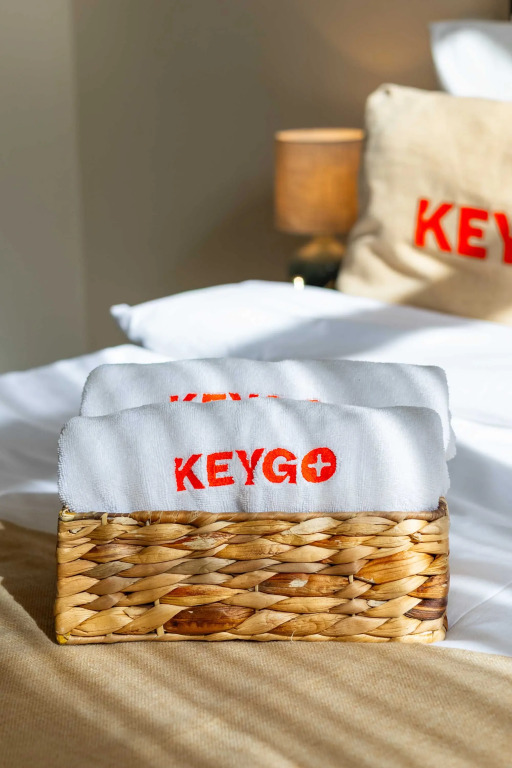Apartment KeyGo#0043 offers comfort and coziness in the city
