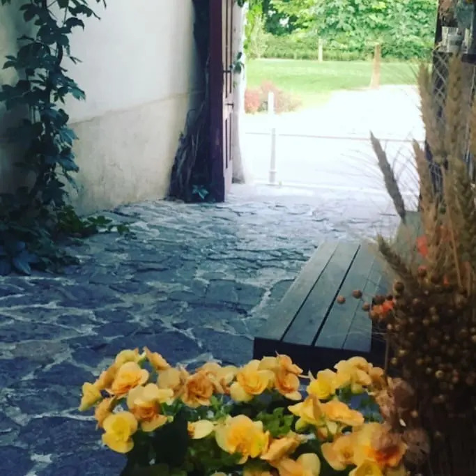 Апартаменты Beautiful New Zagreb on Hand