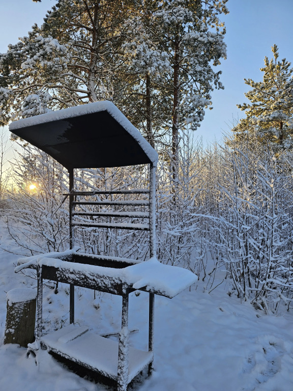 Коттедж Черничный Склон Small House