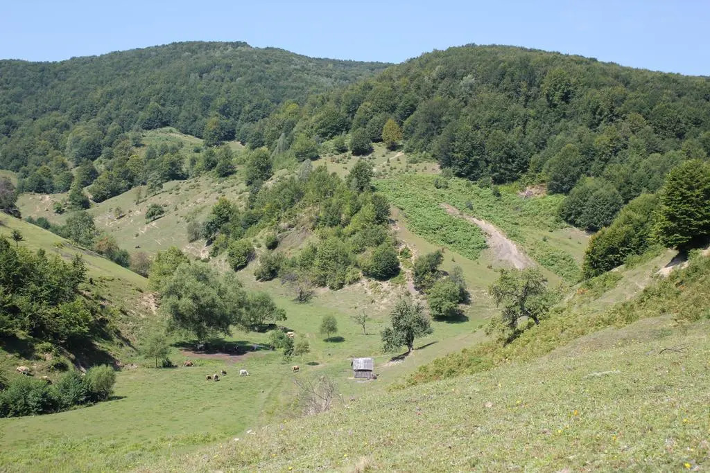 Svit Sontsya