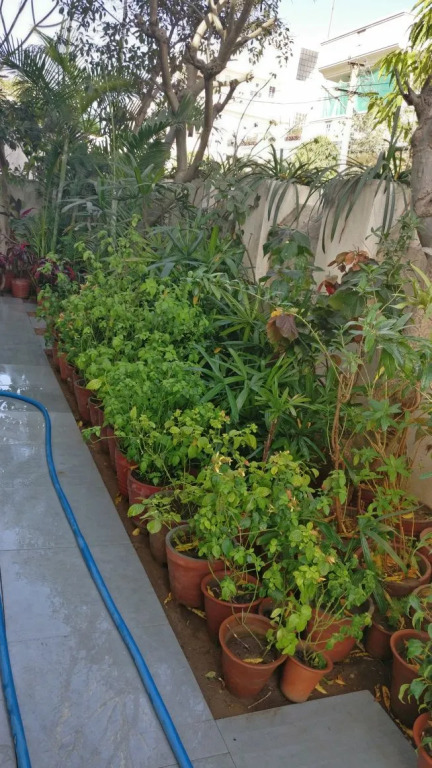 Abode Homestay