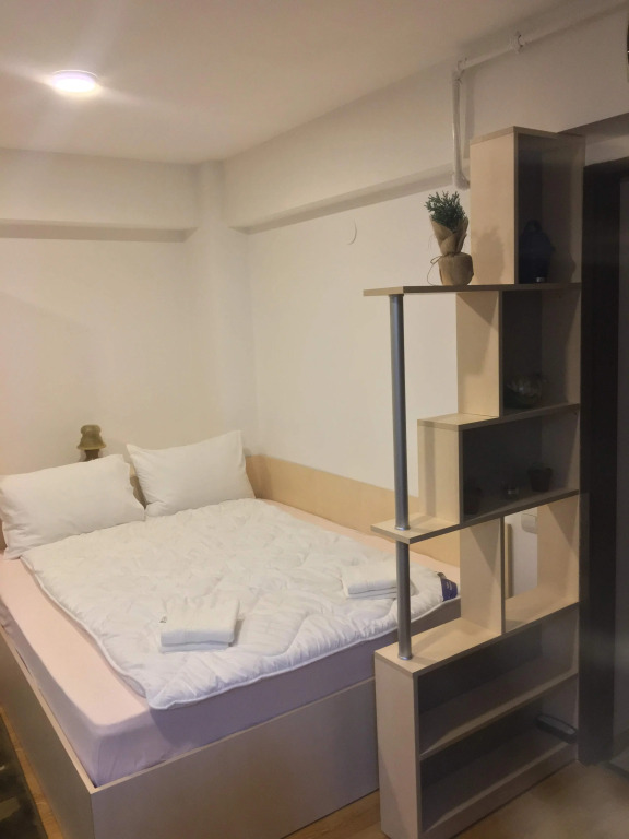 Апартаменты Studio Sinaia Mirage