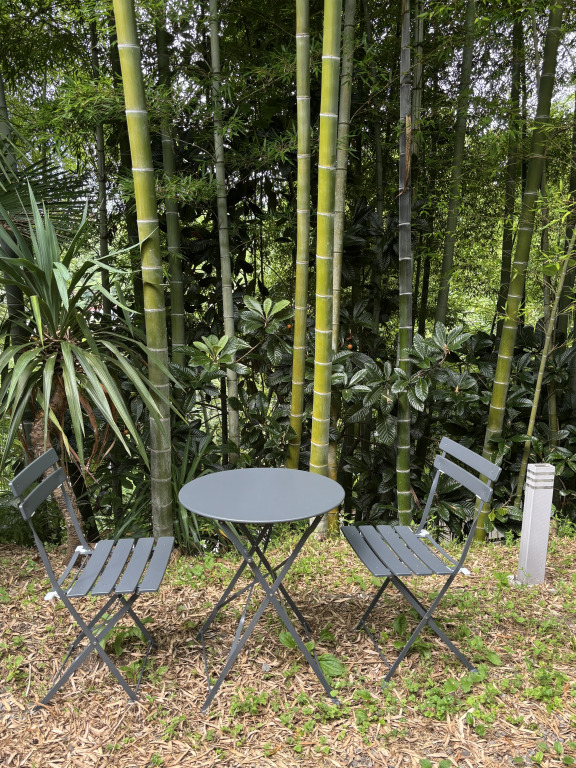 Carpe Diem Boutique Resort