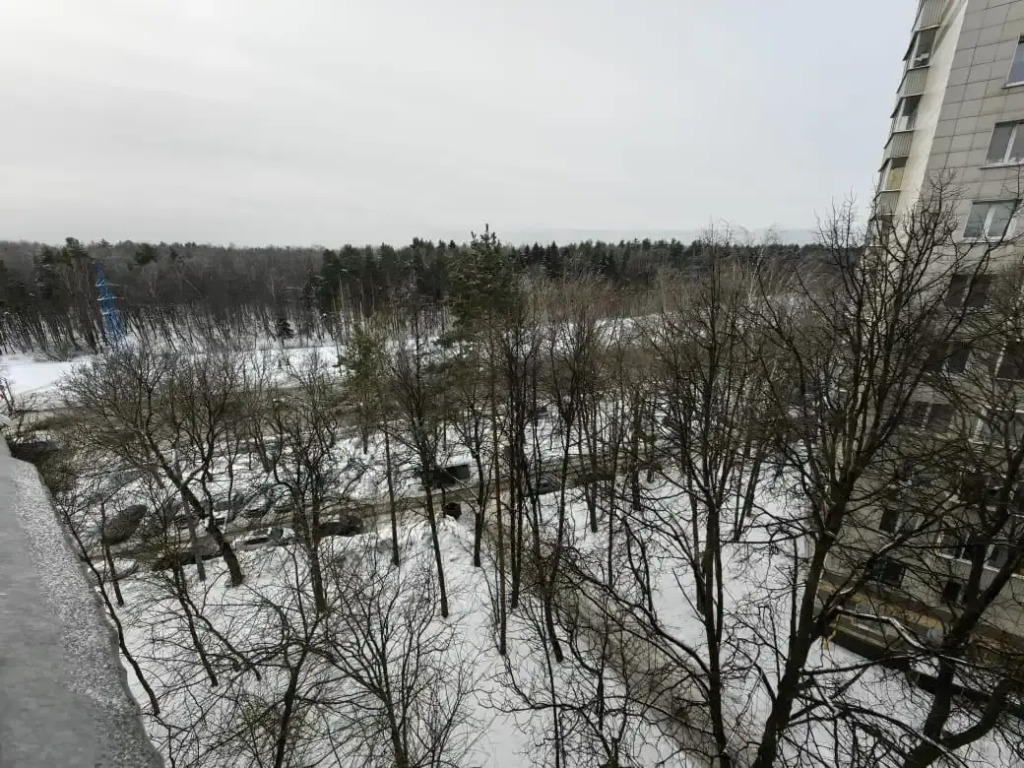Квартира на Зюзино