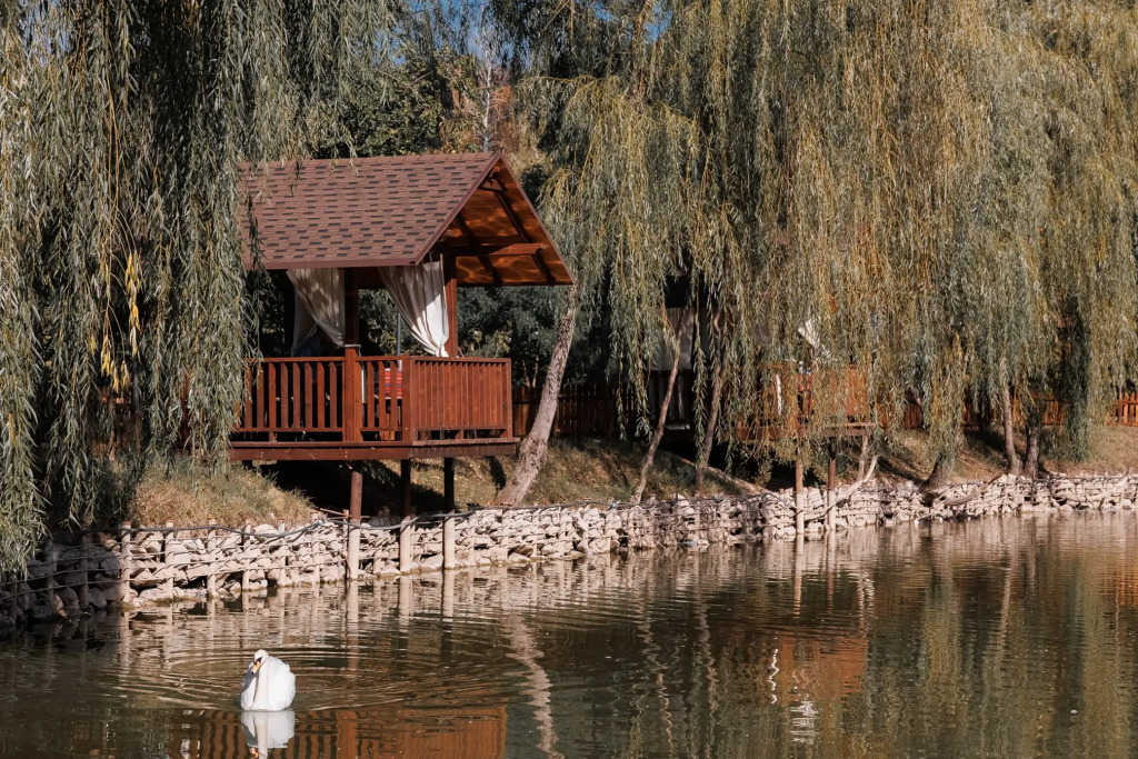 Курортный отель Poiana Bradului Complex Hotelier & Restaurant