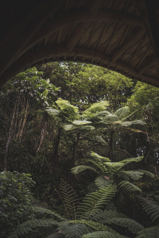Aksari Resort Ubud by Ini Vie Hospitality