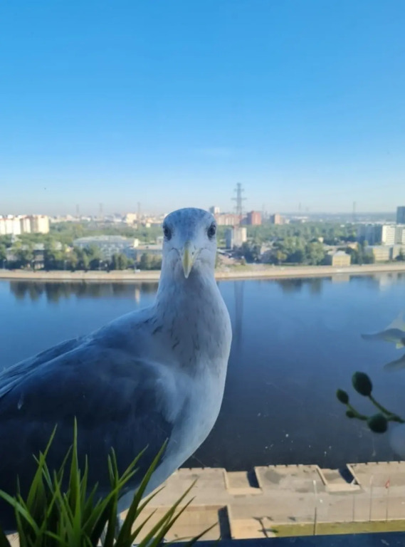 Квартира видовая с евроремонтом