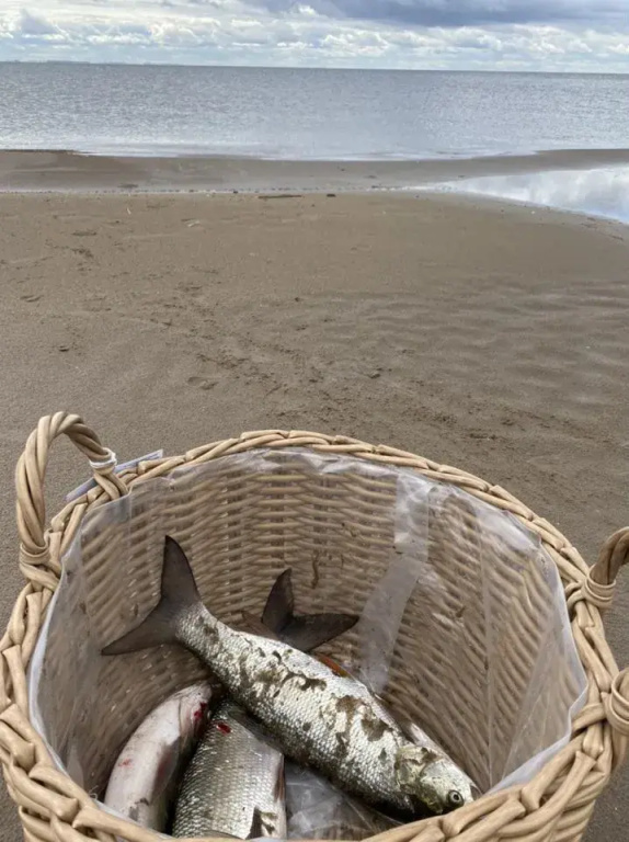 Частный дом на Камском море