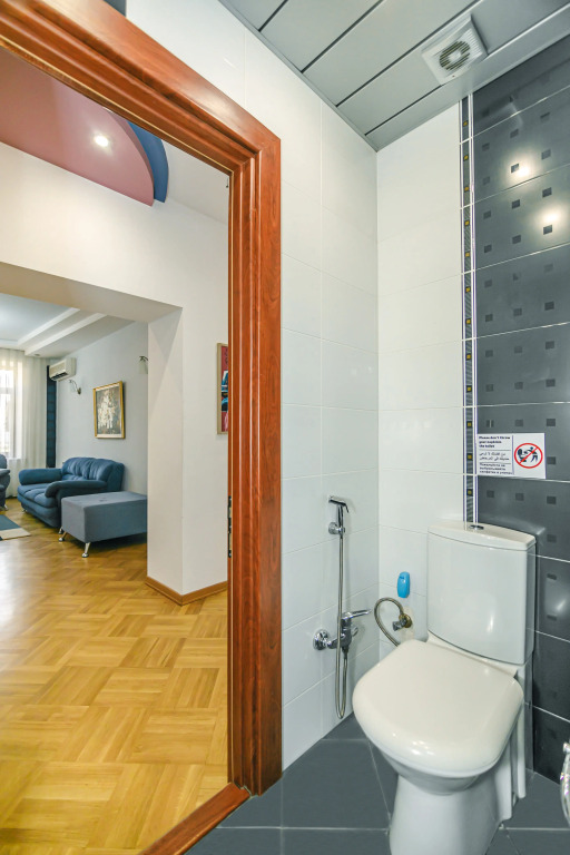 Апартаменты Stella Luxury Apartment in Nizami street