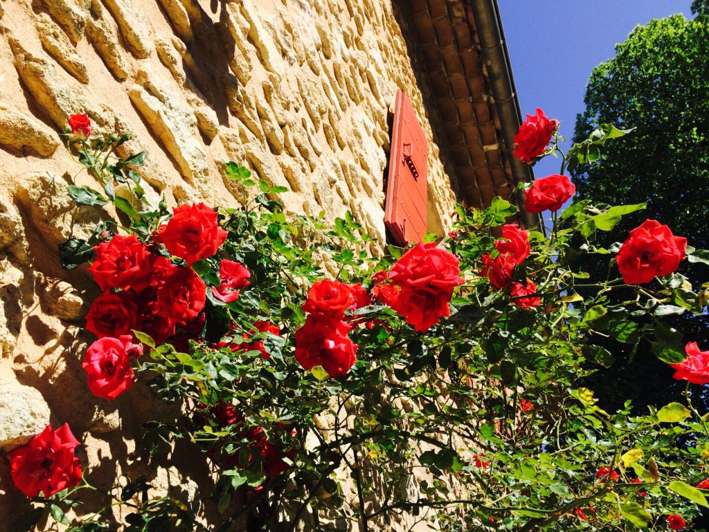Гостевой Дом Mas de Cocagne en Provence
