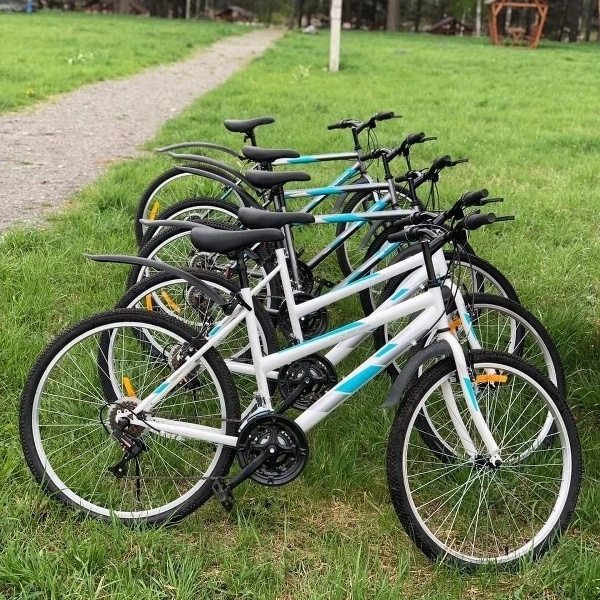 База отдыха Раздолье