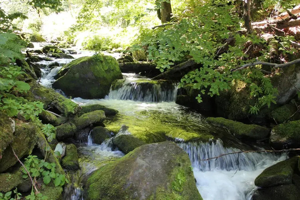 Svit Sontsya