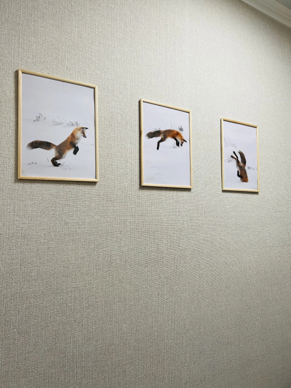 Хостел FOX