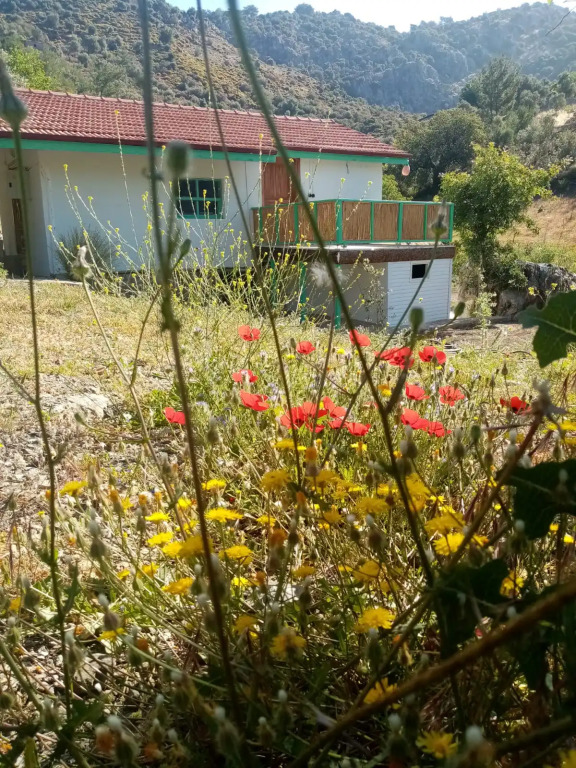 Iztuzu Homes