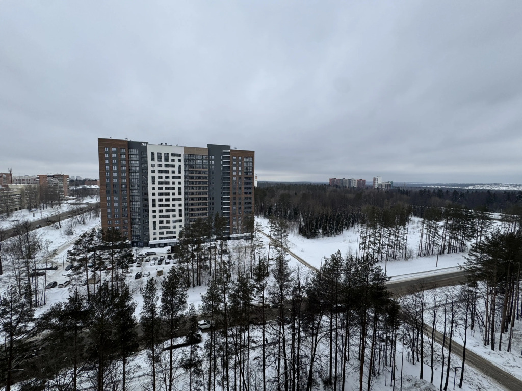 Квартира уютная