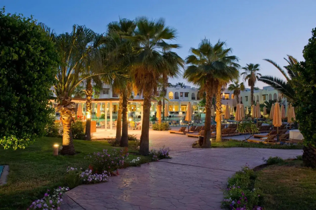 Amphoras Aqua Adults Only