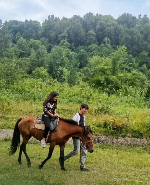 Курортный отель Green Hills