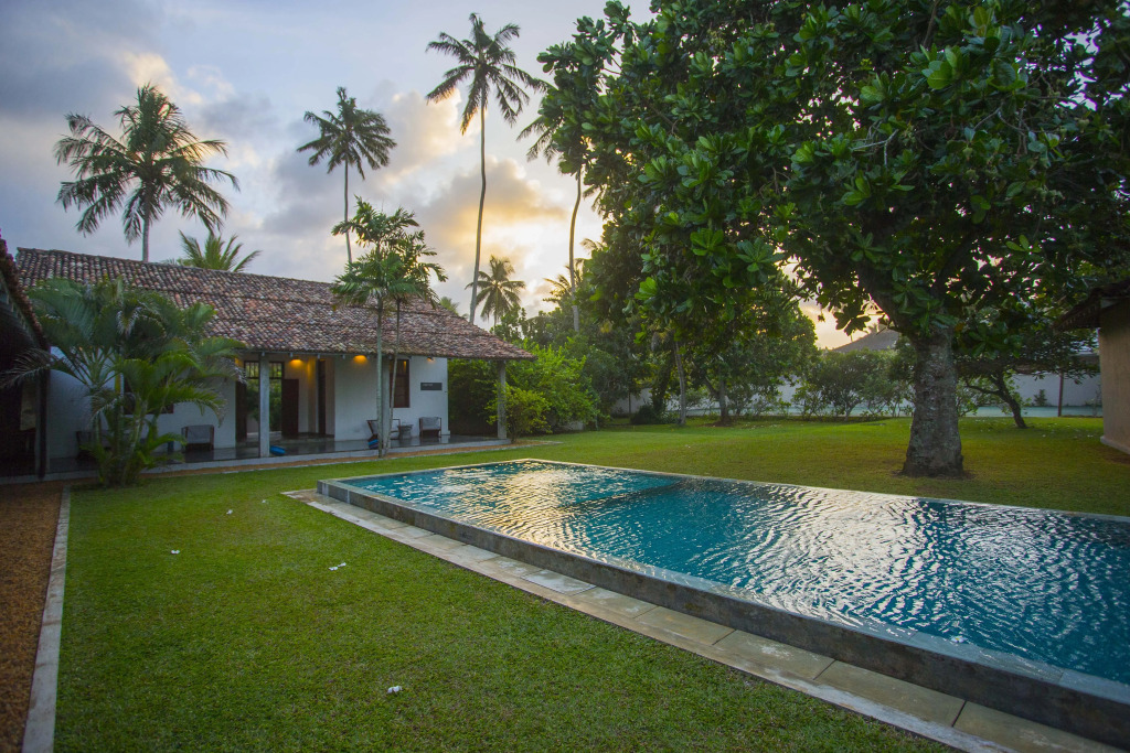 The Frangipani Tree by Edwards Collection - Thalpe