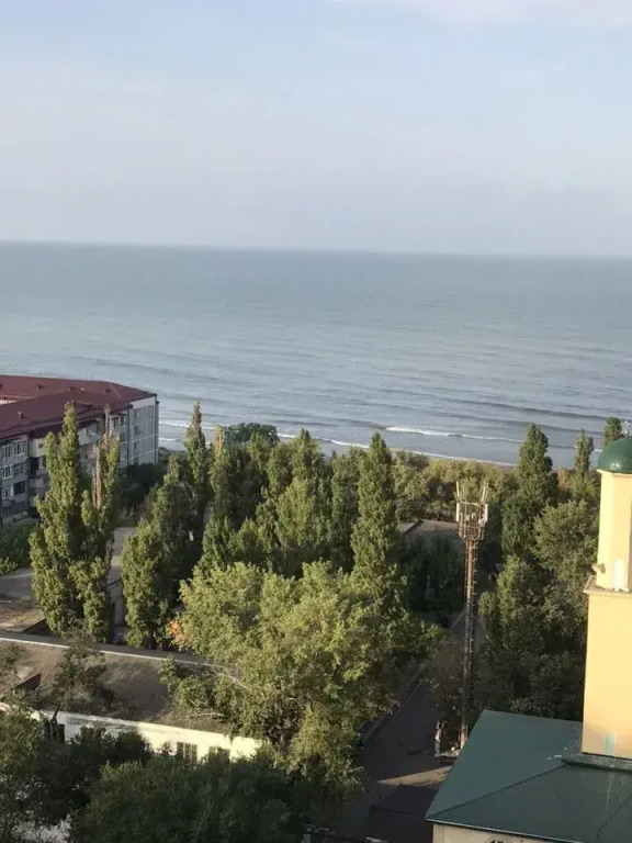 Квартира на проспекте Петра I