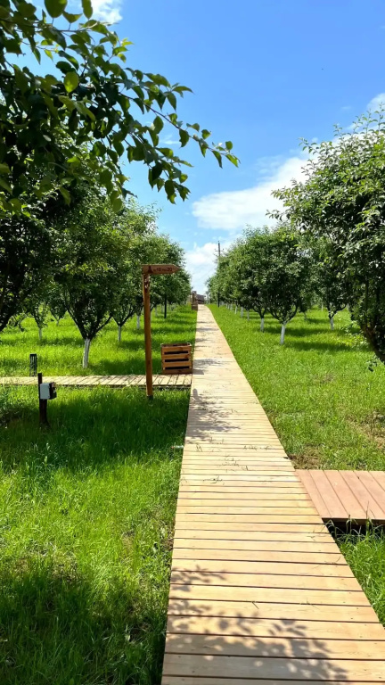База отдыха Apparadise Glamping&Spa