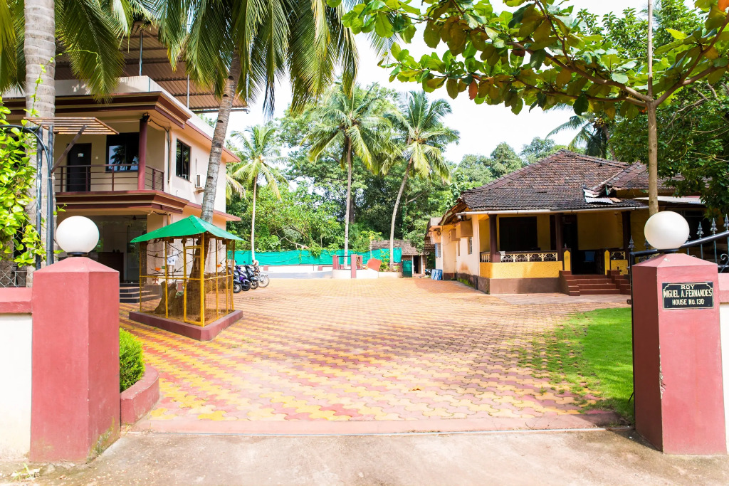 Lazy Frog Guest House