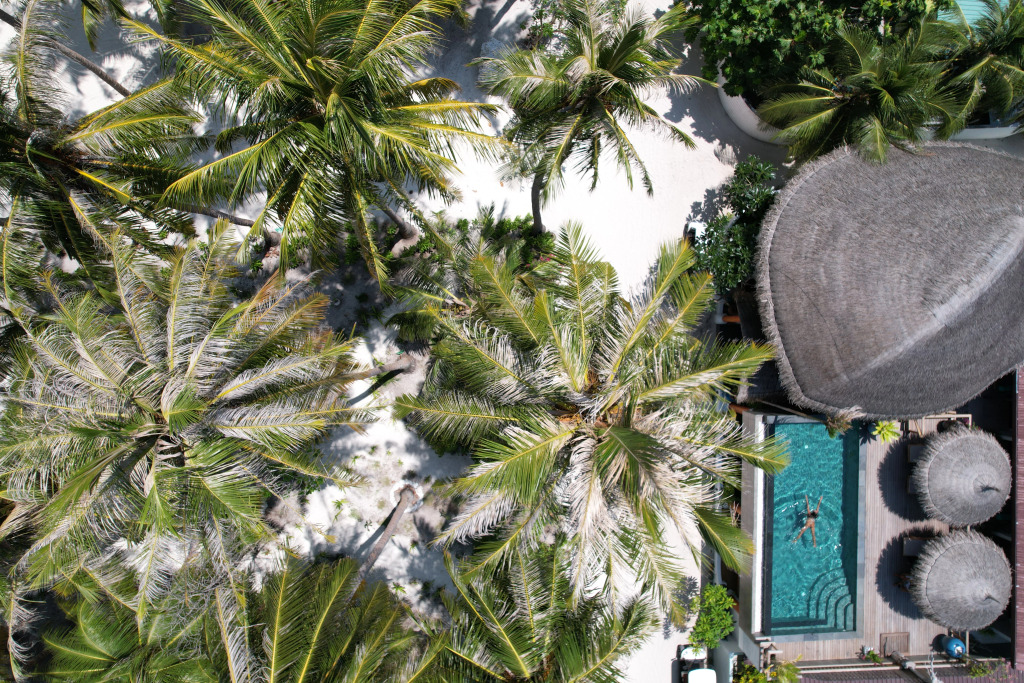 Island Luxury Boutique Hotel - Fulhadhoo