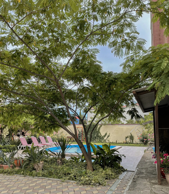 Kot Guest House