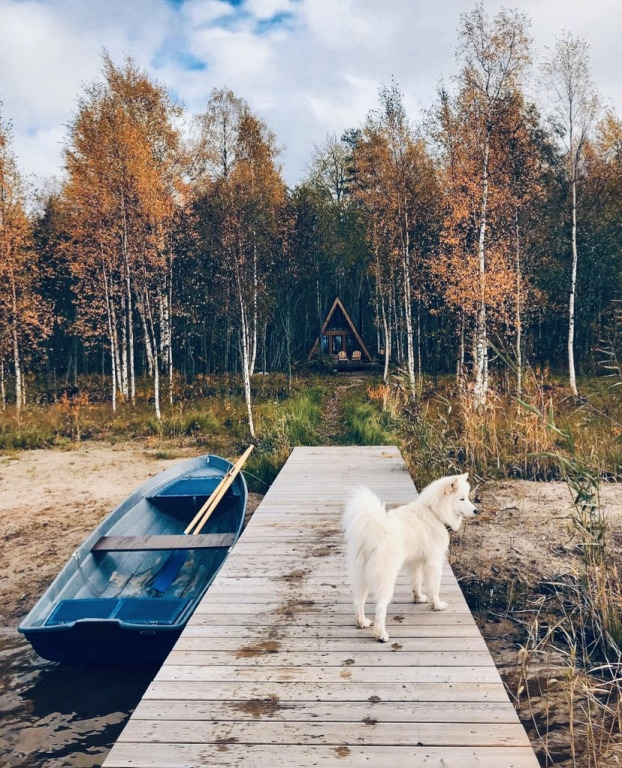 Глэмпинг Shanti Home