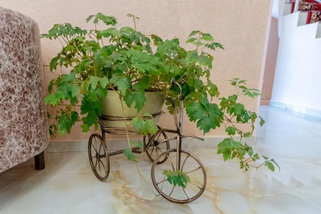 Гостевой дом Коржовъ