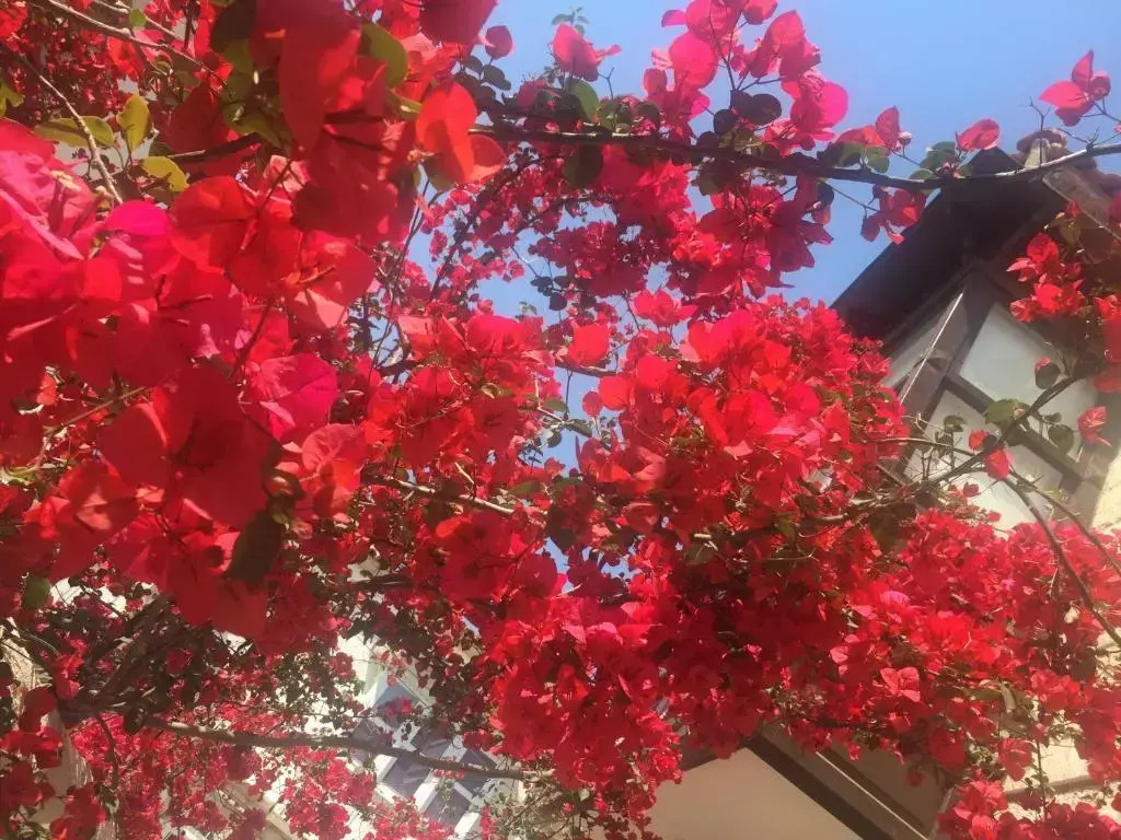 Alayaz Hotel