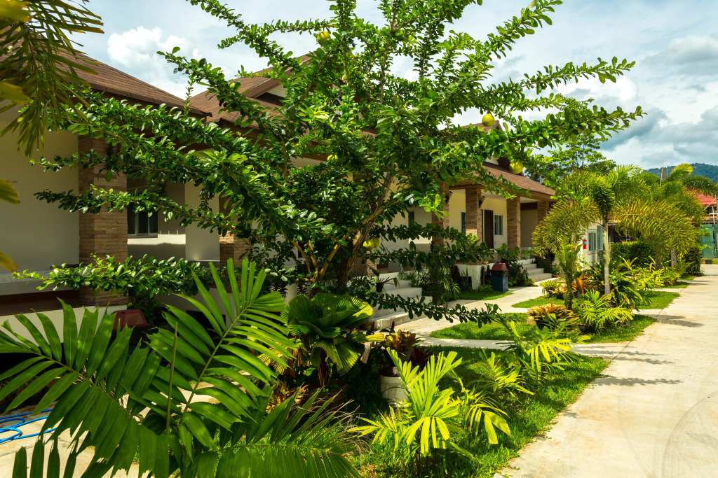 Курортный Отель Lipa Bay Residence