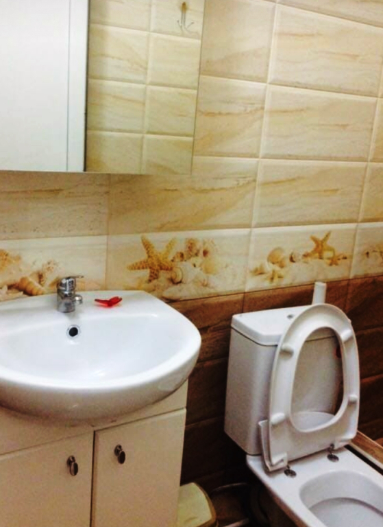 Dikaya Orhideya Guest House