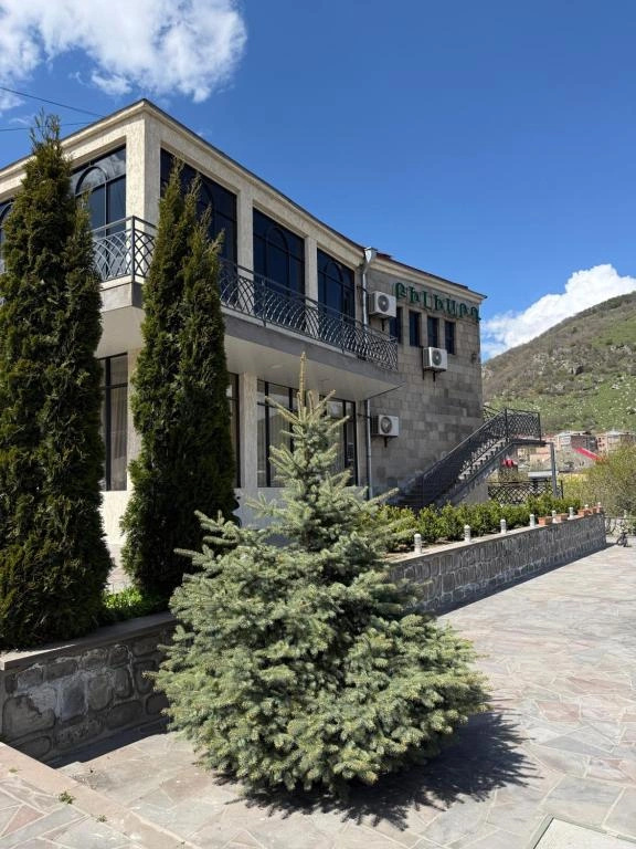 Отель Yolyans Goris
