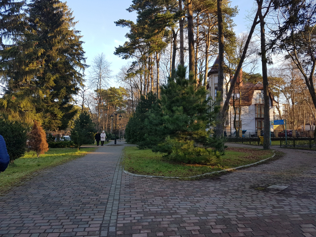 Апартаменты Svetlogorsk