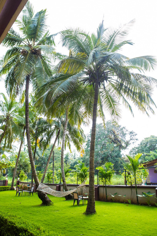 Lazy Frog Guest House