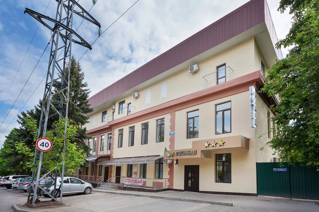 Пегасас