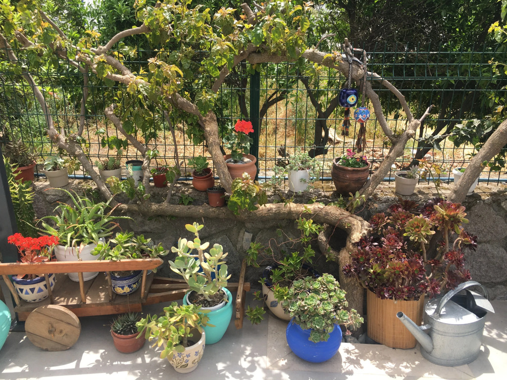 Отель Villa Oliva Butik
