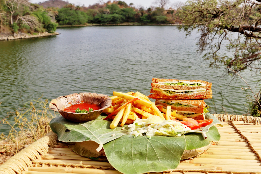 Dera Baghdarrah Nature Retreat Udaipur