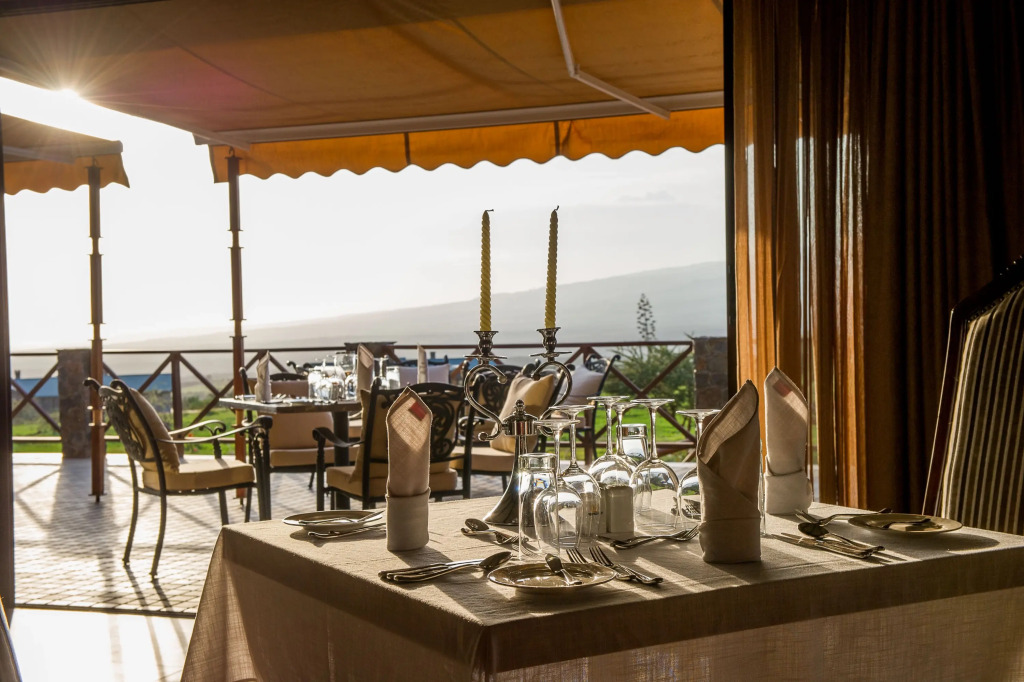 Wellworth Ngorongoro Oldeani Mountain Lodge