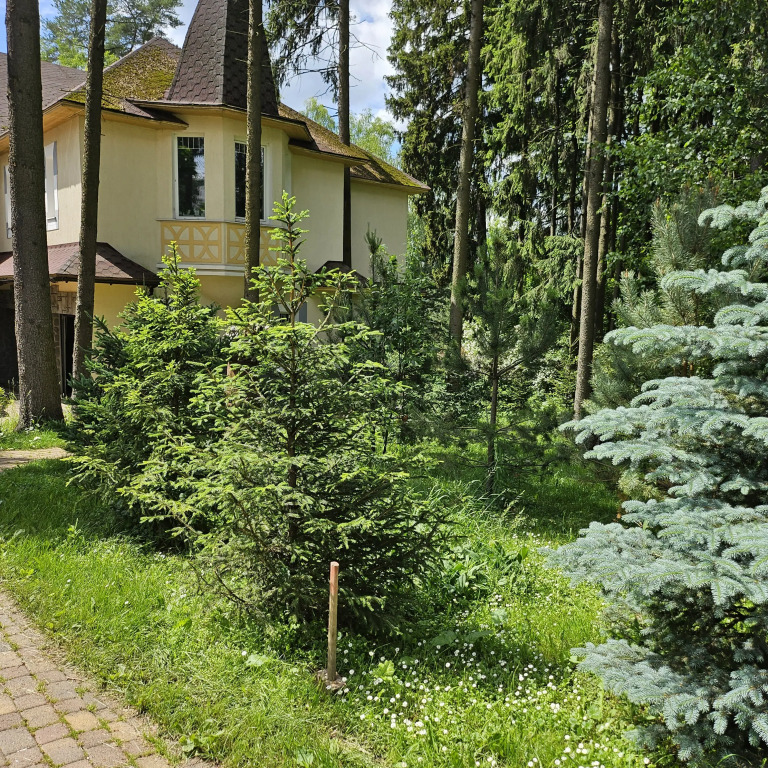 Частный Дом в Лесу
