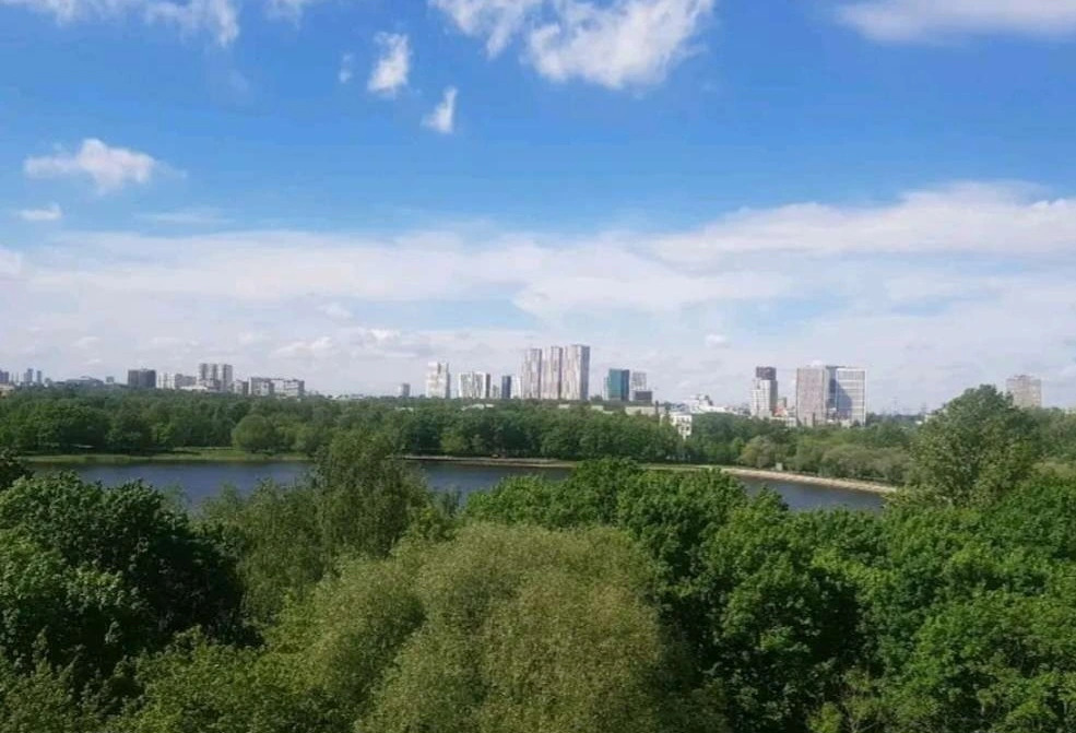 Квартира на Головинских прудах
