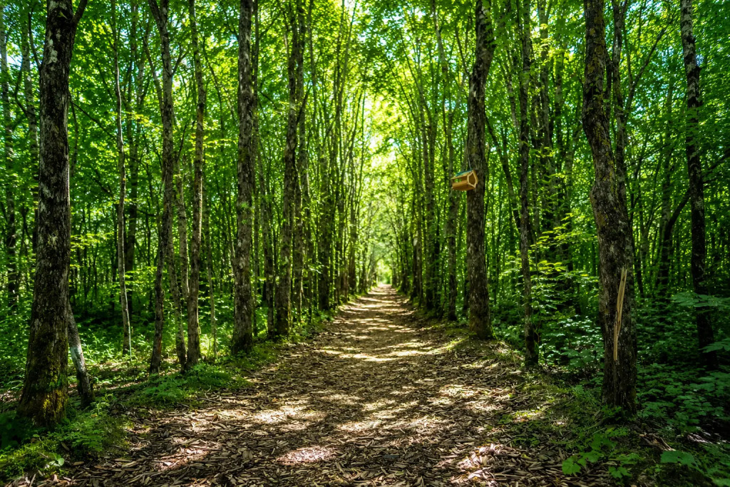 Квартира Дом, куда хочется возвращаться