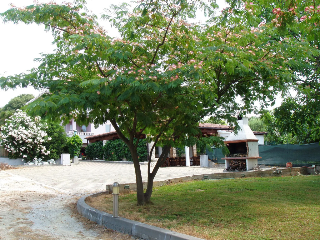 Villa Toni