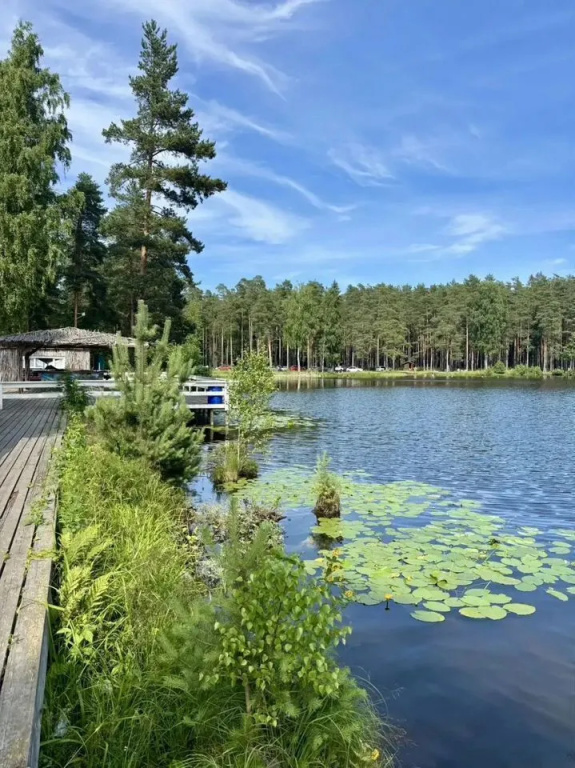 Частный дом в лecу ECOНОUSЕ-Kоркинo