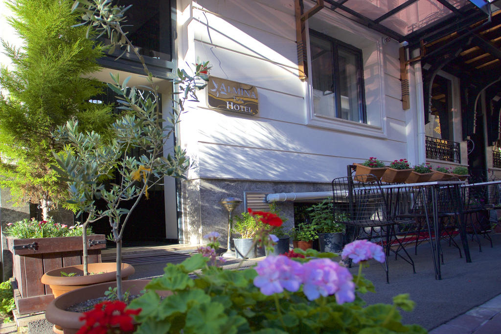 Отель Almina Inn