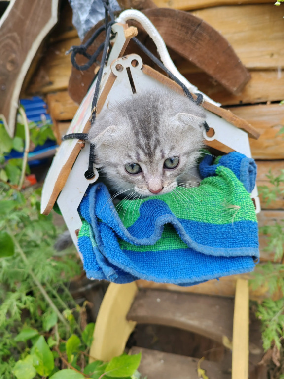 Гостевой дом Аркаим
