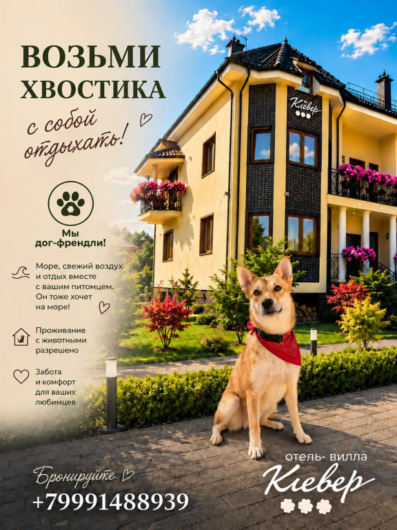 Отель Клевер